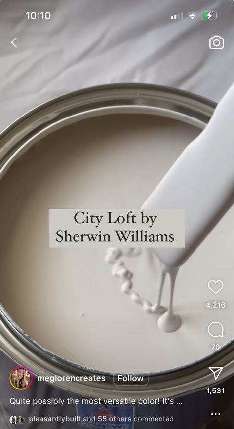 Putty Paint Color Sherwin Williams, City Loft Sherwin Williams Kitchen, Cottage Home Paint Colors, Soho White Sherwin Williams, Best Guest Room Paint Color, Haven Of Coziness Paint Color, Sw Paint Colors 2024, Salon Color Room, Neutral Wall Color For Whole House