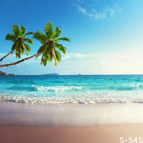 Beach Wall Murals, Tropical Beaches, Sea Side, Beach Wallpaper, Travel Pins, Beach Painting, Facebook Covers, Beach Travel, Beach Scenes