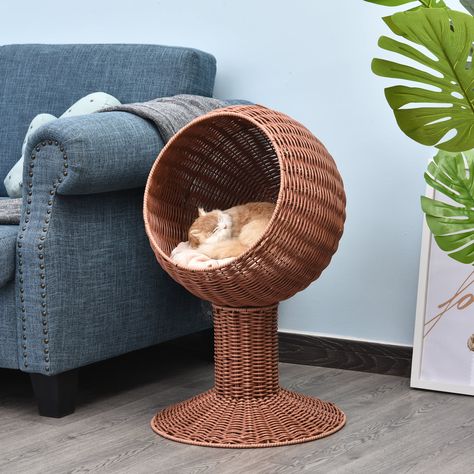 Elevated Cat Bed, Wicker Cat Bed, Pet Beds Cat, Cat Basket, Cute Egg, Cat Cave, Cat Condo, Home Decor Color, Egg Chair