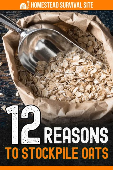 Oats are one of the best emergency foods you can stockpile is oats. They're nutritious, and they have many alternative uses. Best Emergency Food, Best Survival Food, Raw Oats, Emergency Food Supply, Instant Oatmeal, Light Bites, Sugary Food, High Fiber Foods, Emergency Food