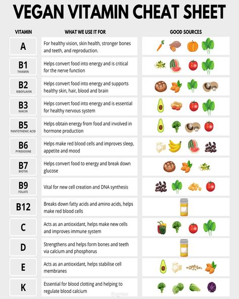 Explore a unique addition to your office or home decor with these vitamin charts. This digital download includes three 8 x 10 charts along with accompanying documents. Once purchased, you'll receive a link via email to download high-quality 300 dpi files that you can print at your convenience. These are reproductions, not originals, offering a creative and informative touch to your space. Enjoy the flexibility to print and display them as you wish. All Vitamins And Minerals Chart, When To Take Vitamins Chart, Vitamins And Minerals Chart, When To Take Vitamins, Vitamin Guide, Mineral Chart, Vitamin Charts, All Vitamins, Vegan Vitamins