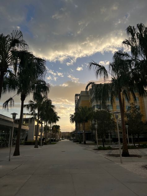 usf Usf Aesthetic, Life Visualization, Florida Gulf Coast University, Nova Southeastern University, Usf Bulls, Southeastern University, University Of Tampa, Colleges In Florida, College Ideas