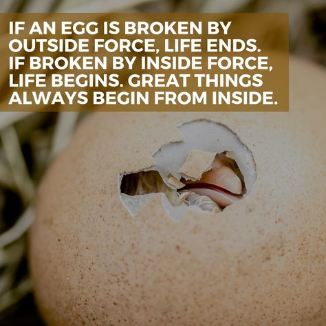 "If an egg is broken by outside force, life ends. If broken by inside force, life begins. Great things always begin from inside." ~ Jim Kwik #JimKwik #wisdom #everydaywisdom #lifewisdom #lifequotes #lifebegins #quotes All my posts are opensource. Please copy or edit or share this or other posts at will. You support my work by sharing my posts or subscribing to my channel or by becoming my patron for just 1$/month to empower me to continue creating critical content that exposes hidden truths. Jim Kwik, Hidden Truths, My Posts, An Egg, Learning Tools, 1 Month, Coaching, Egg, Life Quotes