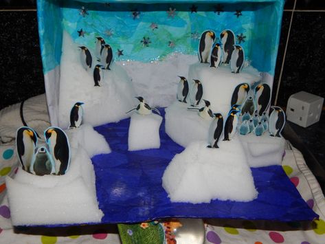 Homework Project – Polar habitats | eviehayes5 Ecosystems Diorama, Shoebox Diorama, Penguins Project, Arctic Habitat, Ecology Projects, Diorama Kids, Habitats Projects, Penguins And Polar Bears, Pole Nord