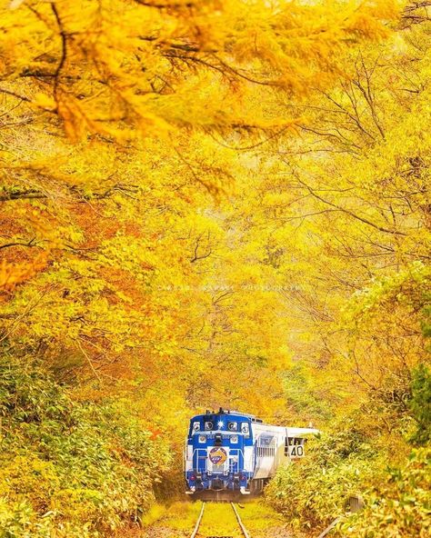 Air Car, Shimane, Nature Autumn, Virtual Travel, Yellow Springs, Visit Japan, Future Travel, Vacation Places, Travel Book