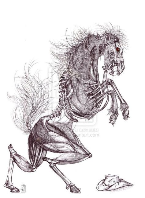 Skeleton horse Horror Horse Art, Creepy Horse Art, Skeleton Horse Fantasy Art, Scary Horse Art, Horse Skull Art, Skeleton Horse Art, Creepy Animal Drawings, Monster Sketch Dark, Horse Skeleton Drawing