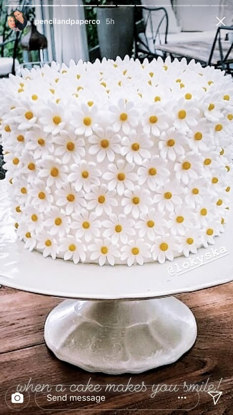 Flower Cake Design, Learn Cake Decorating, Daisy Cake, Daisy Cakes, Daisy Party, Bee Cakes, Mini Cakes Birthday, Cake Shapes, Easy Cake Decorating