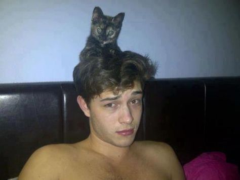 francisco lachowski with his cat (aw) Chico Lachowski Wallpaper, Chico Lachowski, Райан Гослинг, Francisco Lachowski, Hot Actors, Leonardo Dicaprio, Pretty Men, A Cat, Celebrity Crush