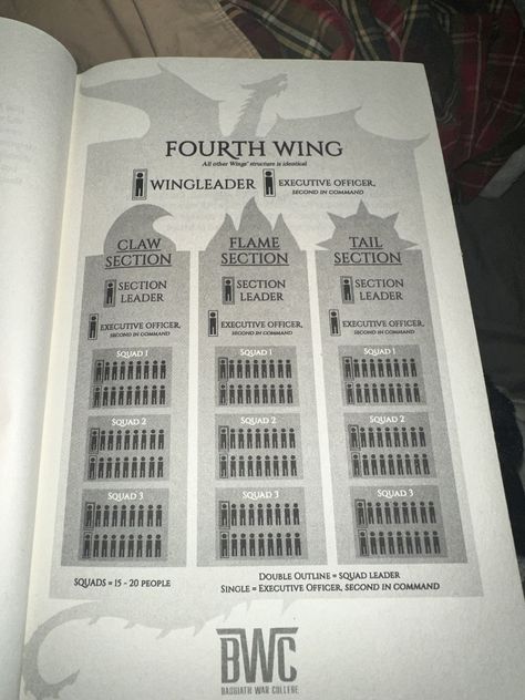 Fourth Wing Chapter 30, Fourth Wing Map, Fourth Wing Pages, Fourth Wing Ridic, Fourth Wing Book Sprayed Edges, Fourth Wing Rebellion Relic, Wing Structure, Book Review Journal, Military Ranks