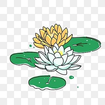 Lily Pad Drawing, Lotus Clipart, Lotus Illustration, Lotus Flower Drawing, Plant Clipart, Summer Plant, Landscape Clipart, Clipart Flowers, Hand Clipart