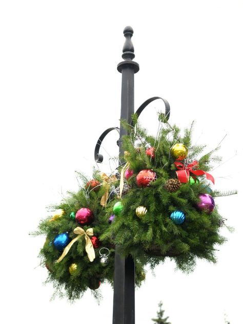 DIY Hanging Baskets – Hanging Basket Holiday Decorations Outdoor Christmas Hanging Baskets, Xmas Hanging Baskets, Hanging Christmas Baskets, Diy Christmas Hanging Baskets, Winter Hanging Baskets, Hanging Baskets Diy, Christmas Hanging Baskets, Holiday Baskets, Garden Basket