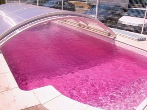 Pink swimming pool Pink Pool, Water Pool, I Believe In Pink, Pink Water, Pink Houses, Tickled Pink, Pool Water, Everything Pink, Pink Summer