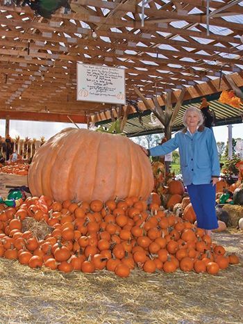 Today is a waxing moon in Taurus, this is the best time to plant root veggies if you want to win first prize at the county fair! (Also a good time for planting other fruit & veggies given we're waxing to full moon in Scorpio, making this one of the most fertile lunar months.) Pumpkin Plants, Giant Vegetable, Pumpkin Vegetable, Planting Pumpkins, Poo Poo, Pumpkin Eater, Plants Vegetables, Vegetable Pictures, Giant Pumpkin