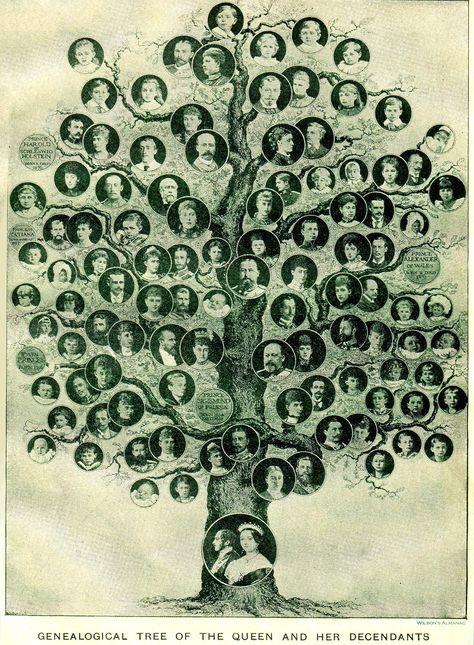 What's Lurking in Your Family Tree? | Linda Lee Graham Victoria Family Tree, Queen Victoria Family Tree, Queen Victoria Family, Irish Genealogy, Royal Family Trees, Family Tree Genealogy, Ancestry Genealogy, English History, Family Genealogy