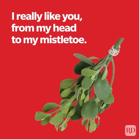 50 Christmas Pickup Lines That Will Land You a Kiss Under the Mistletoe Christmas Pickup Lines, Christmas Pick Up Lines, Short Jokes For Kids, Blog Writing Ideas, Space Puns, Kiss Under The Mistletoe, Christmas Gift Themes, Funny Christmas Jokes, Funny Christmas Movies