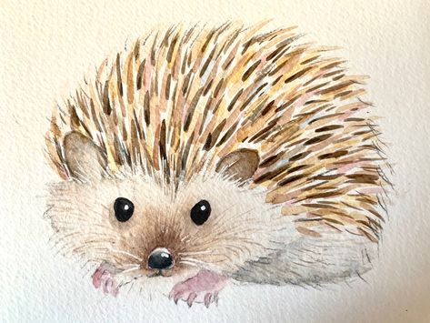 Watercolour Hedgehog, Watercolour Wildlife, Hedgehog Watercolor, Watercolor Hedgehog, Hedgehog Drawing, Hedgehog Illustration, Watercolor Paintings Of Animals, Watercolor Art Journal, Watercolor Paintings Easy