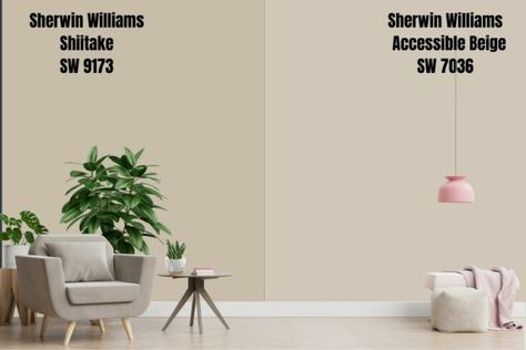 Sherwin Williams Heron Plume Walls, Sw Heron Plume Walls, Sw Heron Plume, Heron Plume Sherwin Williams, Sherwin Williams Shiitake, Heron Plume, Alpaca Sherwin Williams, Accessible Beige Sherwin Williams, Relaxing Paint Colors