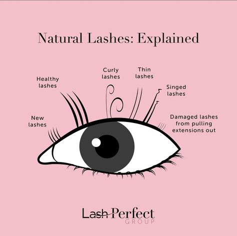 Your natural lashes grow in 3 phases 🔄………… ……………………….Follow ⏩ @phancy_phree @president_of_phancy for more Lash Tips It is your lash techs job to know which phase each natural lash is in and how & when to place a lash extension onto your natural lash. Thats why is so important that whom ever your choose to apply your lash services truly understand the value of educating themselves and you as well‼️ ✨💫 Happy Lashing 💫✨ Cc Vs D Curl Lash Extensions, Eyelash Map, Lash Education, Lash Types, Healthy Lashes, Curly Lashes, Lash Ideas, Lash Tips, Bigger Eyes