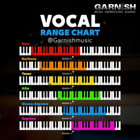 More interesting than useful, tbh! Vocal Range Chart, Artist Management Music, Writing Songs Inspiration, Music Basics, Music Theory Piano, Sound Engineering, Learn Music Theory, Music Theory Lessons, Piano Music Lessons