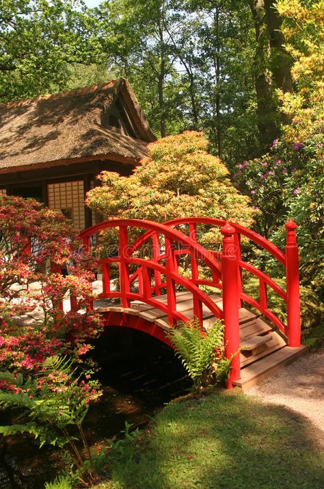 Japanese Water Gardens, Fish Image, Japanese Style Garden, Japanese Bridge, Japanese Garden Landscape, Backyard Hammock, Japan Architecture, Japan Garden, Japanese Garden Design