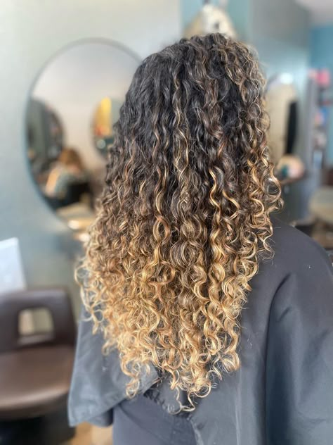 Blonde And Caramel Balayage On Dark Hair, Black To Blonde Curly Hair, Brown Curly Hair With Blonde Tips, Curly Hair Ombre Blonde, Dark Brown To Blonde Balayage Curly Hair, Curly Hair With Blonde Ends, Blonde Tips On Curly Hair, Blonde Ombre Curly Hair Black Women, Dark Brown To Light Brown Balayage Curly Hair