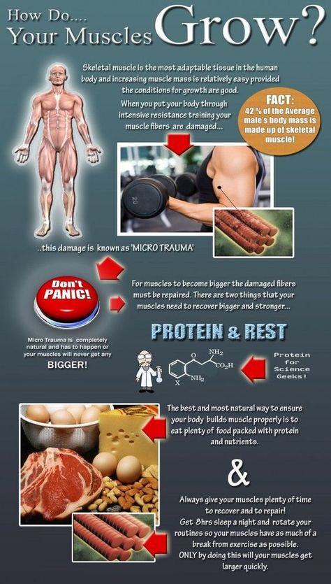 how do your muscle grow Info Board, Muscle Growth, Muscle Fitness, Sports Nutrition, Gain Muscle, Diet Plans, Fitness Nutrition, Weight Training, Healthy Tips