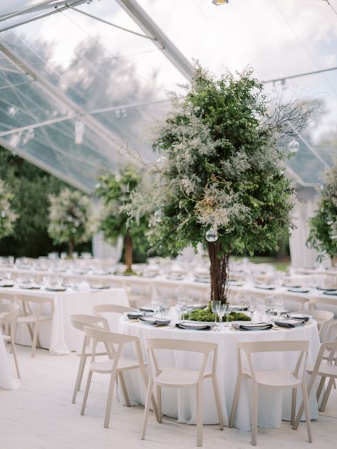 This couple said I do under cascading Oak Trees via Magnolia Rouge Trees In Wedding Reception, Menu Inspiration, Tablescape Inspiration, South Carolina Wedding, Photo Awards, Tree Images, Nicholas Sparks, Oak Trees, Carolina Wedding