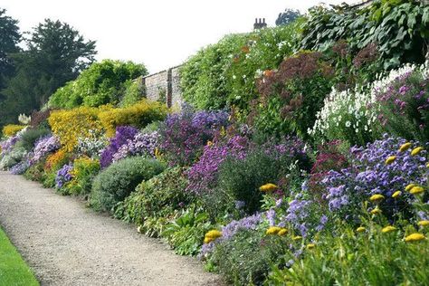 Small Garden Shrubs, Perennial Borders, Edge Garden, Edge Ideas, Design Backyard, Perennial Flower, Border Ideas, Garden Border, Vegetable Garden Planning