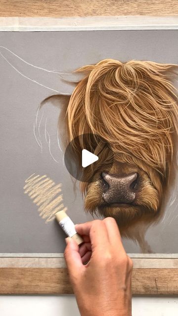 Emily-Mei Cross on Instagram: "Have you ever seen a cuter animal?! This full length tutorial of a Scottish Highland cow is available to learn from 12pm GMT today on my Patreon channel. Link in bio.
.
.
#highlandcow #highland #highlandcows #highlandcowsofinstagram #highlandcowlove #scotland #scotlandanimals #patreon #pastelartist #highlandcowart" Painting Of Highland Cow, Longhorn Cow Drawing, How To Paint A Highland Cow, How To Draw A Highland Cow, Highland Cow Background, Highland Cow Drawing, Emily Mei, Highland Cow Pictures, Highland Cow Painting