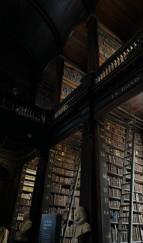 #aesthetic #darkacademia #libraries #europe Rainy Library Aesthetic, Library Aesthetic Photos, Large Library Aesthetic, Fancy Library Aesthetic, Grand Library Aesthetic, Haunted Library Aesthetic, Library Dark Aesthetic, Old Europe Aesthetic, Big Library Aesthetic