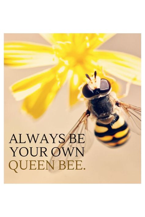 Queen Bee Quotes Inspiration, Bee Quotes Inspiration, Queen Bee Quotes, Be Your Own Queen, Healing Spell, Different Bees, Bee Quotes, Bee Stuff, Bee Drawing