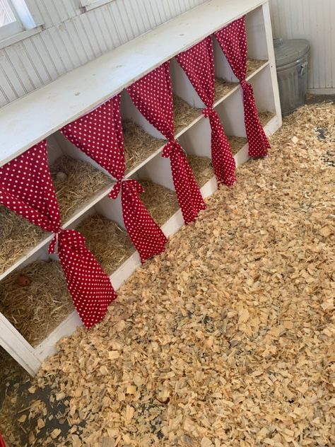 DIY Chicken Coop Curtains for Nesting Boxes  #chickencoopplans #chickencoopdiy  #farmlife #mcgilvrayfamilyfarm Farmhouse Chicken Coop, Chicken Nesting Boxes, Chicken Farming, Backyard Chicken Farming, Diy Chicken, Chicken Coop Plans, Nesting Box, Cube Shelves, Diy Chicken Coop