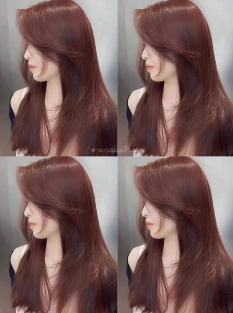 Korean Dyed Hair, Chocolate Lavender Hair, Korean Hair Dye, Aesthetic Hair Color, Strawberry Brown Hair, Chocolate Cherry Hair Color, Office Film, Qi Qi, Korean Hair Color