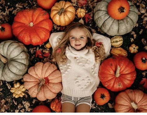 2 Year Fall Photos, Fall Photos Inspiration, Toddler In Pumpkin Photo, Unique Fall Mini Session Ideas, Preschool Fall Photos, Toddler Girl Fall Photoshooting Ideas, 9 Month Halloween Photoshoot, Fall Photoshoot With Pumpkins, Pumpkin Minis Photoshoot