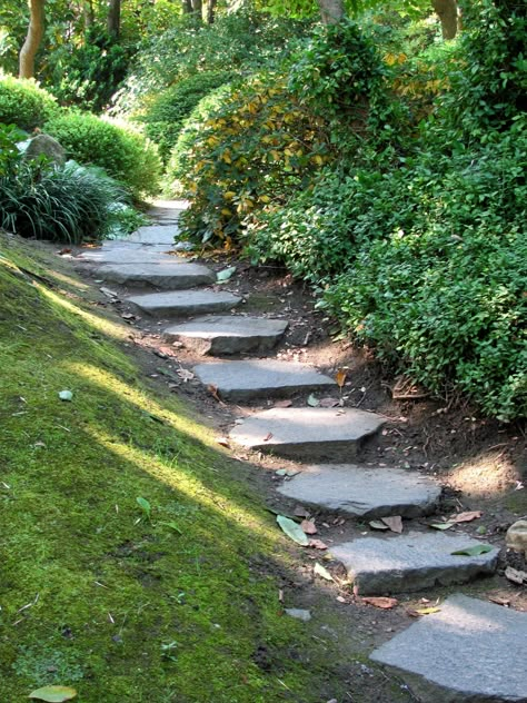 Landscape Stairs, Backyard Walkway, Walkways Paths, Stairs Ideas, Sloped Backyard, Garden Stairs, Stone Stairs, Hillside Landscaping, Outdoor Steps