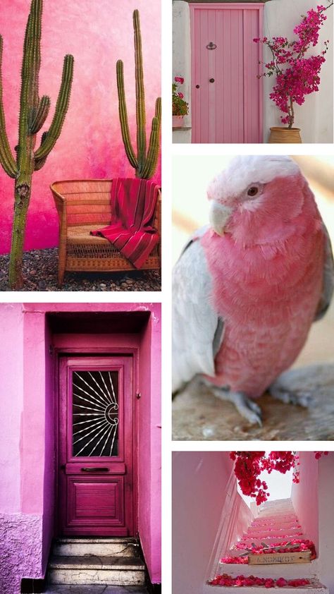 Pink Colour Mood Board, Bird Mood Board, Flower Kingdom, Love Moodboard, Color Combinations For Clothes, Color Board, Summer 2025, Board Inspiration, Branding Mood Board