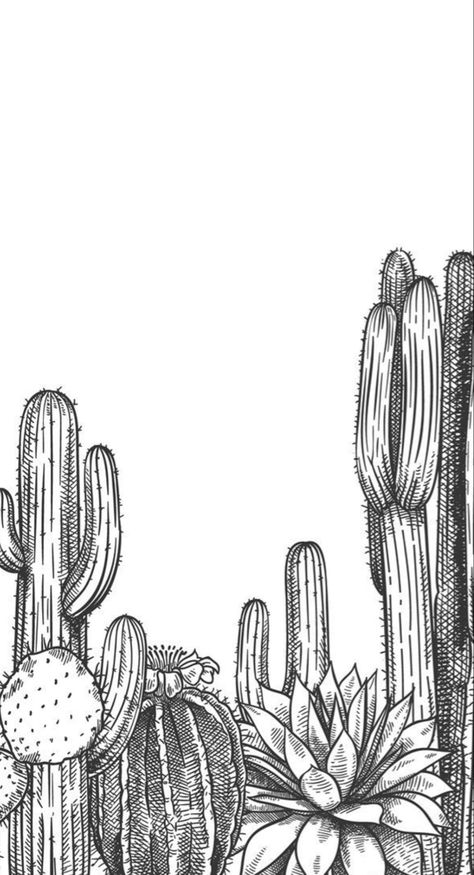 Cactus Line Drawing, Cactus Sketch, Sketch Nature, Southern Aesthetic, Cactus Drawing, Western Wallpaper Iphone, Western Wall Art, Cactus Art, Desenho Tattoo