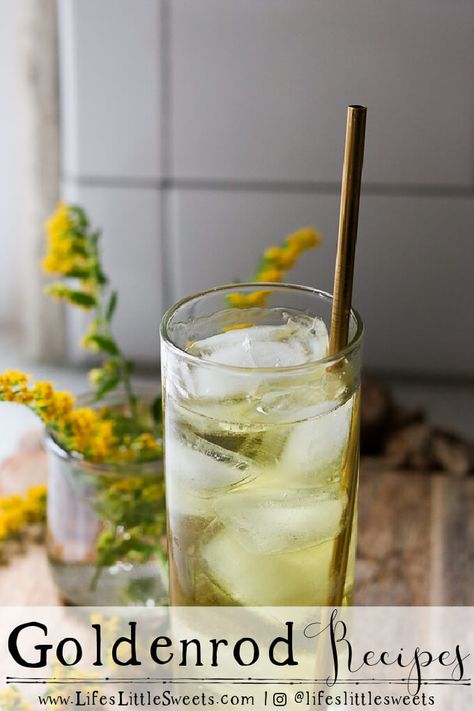 Goldenrod Recipes - Here is a list of recipes on the blog made with the leaves and flowers of the Goldenrod plant (Solidago). #goldenrod #recipes #recipelist #foragedfood #wildfood #edibleflowers #flowers #Fallflowers #lateSummer #Autumnflowers #forage #Solidago Goldenrod Recipe, Best Non Alcoholic Drinks, Eco Food, Virgin Mojito, Cold Tea, Roasted Radishes, Simple Syrup Recipes, Foraged Food, Iced Tea Recipes