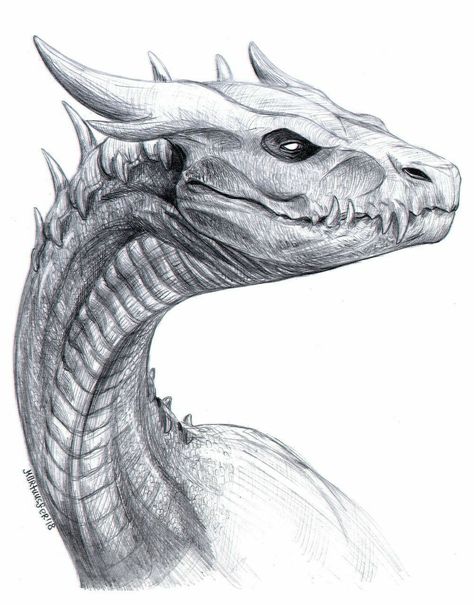 Dragon Sketch, Fantasy Drawings, Creature Drawings, Dragon Pictures, Fantasy Creatures Art, Dragon Artwork, Dragon Head, Mythical Creatures Art, Dragon Drawing