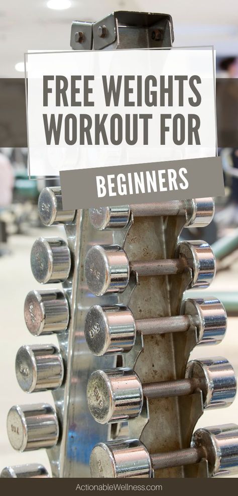 Free Weights Workout for Beginners-Actionable Wellness Free Weights Workout, Weightlifting For Beginners, Weight Training For Beginners, Easy Workouts For Beginners, Free Weight Workout, Dumbbell Bicep Curl, Dumbell Workout, Full Body Workout At Home, Building Strength