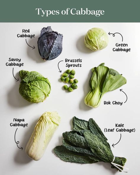 7 Different Types of Cabbage and How to Cook Them | Kitchn Napa Cabbage Recipes, Cabbage Varieties, Types Of Cabbage, Leafy Salad, Leafy Green Salads, Shredded Carrots, Savoy Cabbage, Salad Greens, Veg Dishes