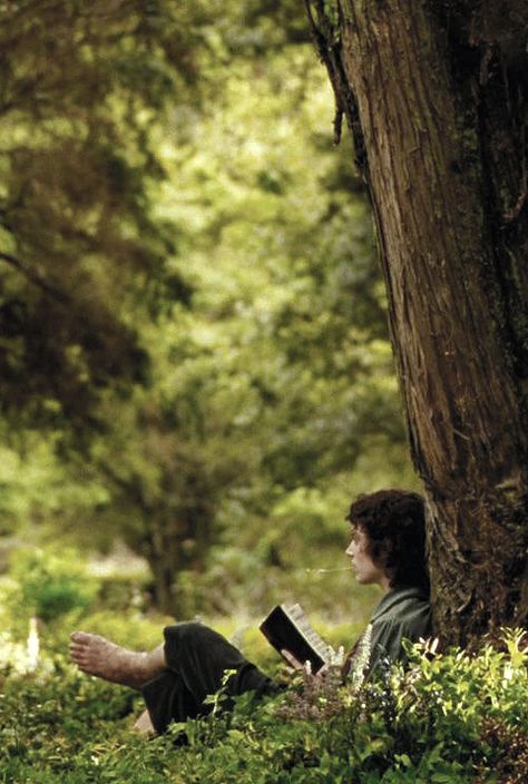 Frodo Baggins reading under a tree - Fellowship of the Ring Lotr Aesthetic, John Howe, Concerning Hobbits, Baba Jaga, Beau Film, The Fellowship Of The Ring, Transition Goals, Frodo Baggins, Into The West