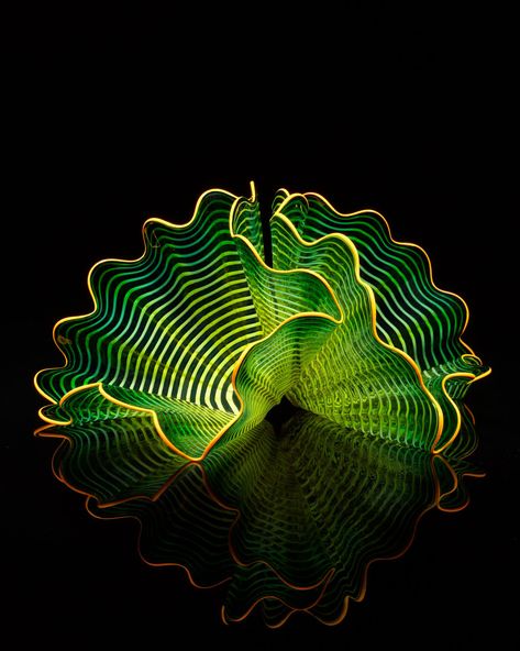 Dale Chihuly - Arthur Roger Gallery Painted Glass Art, Dale Chihuly, Glass Installation, Contemporary Glass Art, Glas Art, Chihuly, Glass Artwork, Gorgeous Glass, Contemporary Glass