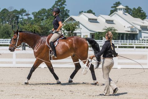 Solidify your foundation and improve your riding skills with personalized longe lessons. Lunging Horse, Horseback Riding Lessons, Horse Riding Tips, Riding Lessons, Simple Exercises, Horse Training, Show Jumping, Lower Leg, Horse Care