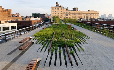 Urban jungle: the city parks reaching new heights | Wallpaper* Highline Park, New York High Line, Training Room, Voyage New York, Tall Buildings, Landscape Architecture Design, Urban Park, Green Architecture, High Line