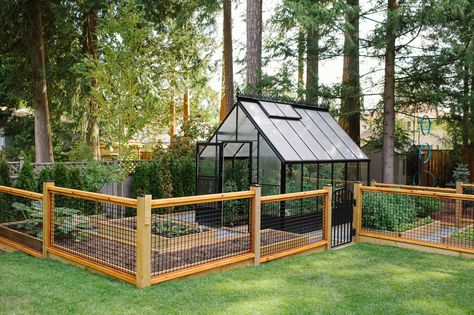 27 Wonderful Shed Design Ideas Fenced Vegetable Garden, Plants Growing, Backyard Greenhouse, Greenhouse Plans, Garden Greenhouse, Greenhouse Gardening, Vegetable Garden Design, Garden Bed, Garden Fence