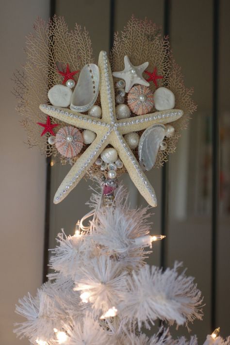 Unusual Christmas Tree Toppers, Best Christmas Tree Toppers, Christmas Tree Topper Ideas, Tree Topper Ideas, Starfish Tree Topper, Christmas Tree Toppers Unique, Unusual Christmas Trees, Sea Fan, Beachy Christmas