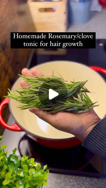 Rosmarin Water For Hair, How To Make Rosemary Oil For Hair Growth, Hair Mask For Hair Growth, Fenugreek Recipes, Hairfall Remedies Home, Rosemary Oil For Hair Growth, Rosemary Water For Hair Growth, Hair Fall Remedy Home, Hair Fall Remedy