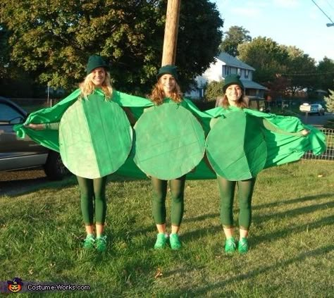 Michelle: Steph, Shannon & Michelle were always called 3 peas in a pod! Then one Halloween, they just KNEW they had to make this into a real life costume. It was... Three Person Costumes, Halloween Costumes For 3 People, Costumes For 3 People, 3 Person Halloween Costume, 3 People Halloween Costumes, 3 Peas In A Pod, 3 People Costumes, Girl Group Halloween Costumes, 2015 Halloween Costumes