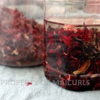 Hibiscus Petals in Almond Oil Hibiscus Hair Serum Diy, Hibiscus Infused Oil, Flower Infused Oil, Infused Oil Recipes, Grow Healthy Hair, Hibiscus Oil, Body Oil Diy, Herbal Cosmetics, Almond Oil Benefits